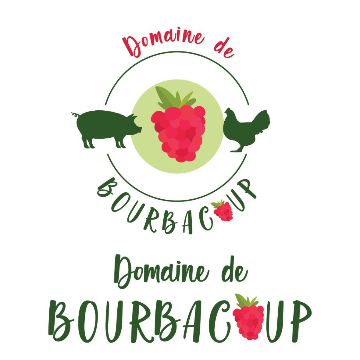 Chambres D'Hotes Du Domaine De Bourbacoup Тюль Экстерьер фото